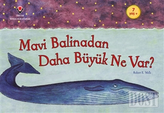 Mavi Balinadan Daha Büyük Ne Var?